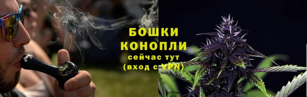 шишки Семикаракорск